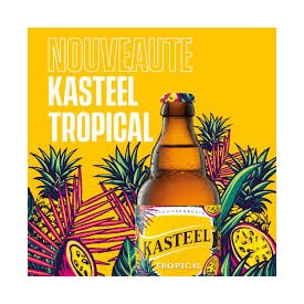 Bière Kasteel Tropical 33cl