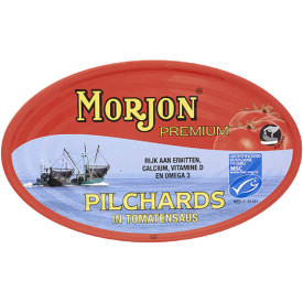 Pilchards (grosses...