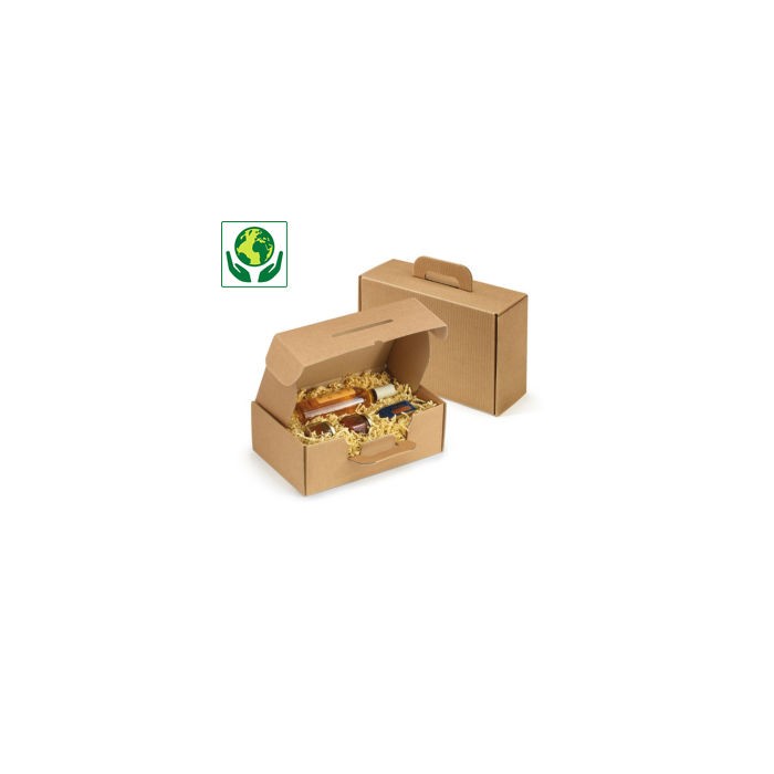 Valisette Carton Vide (40 x 32.5 x 12cm)