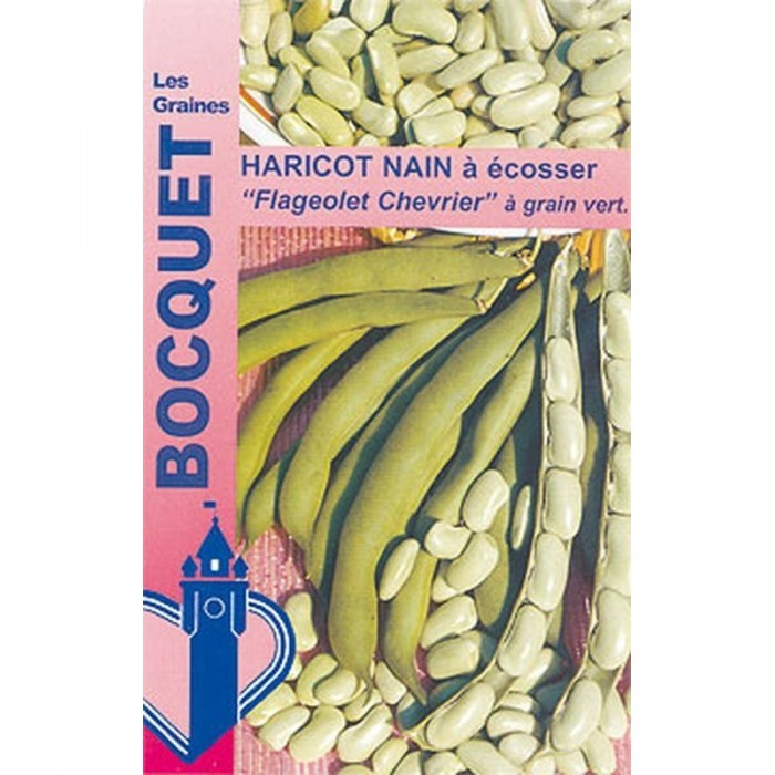 Graines Haricot "Chevrier Vert du Nord"