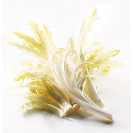 Endives Barbucine (Barbe de capucin) 300g