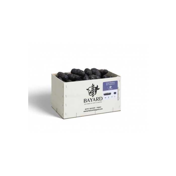 Pdt Vitelotte du Santerre Cal 35/55 5kgs