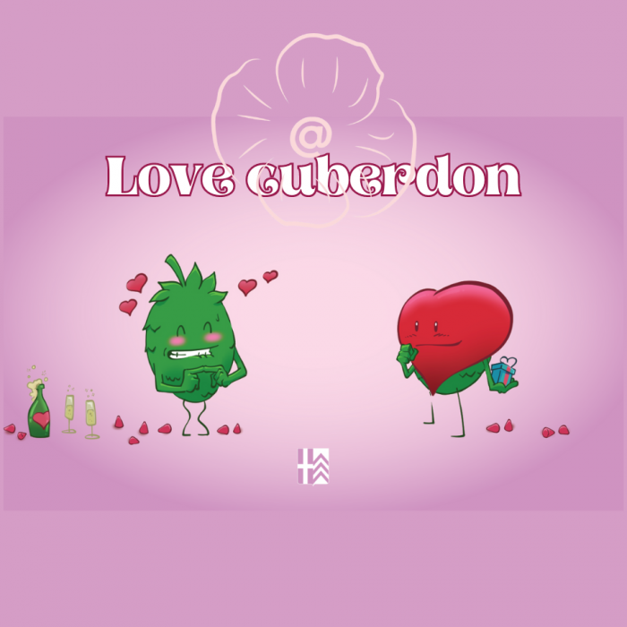 Bière Love Cuberdon 33cl