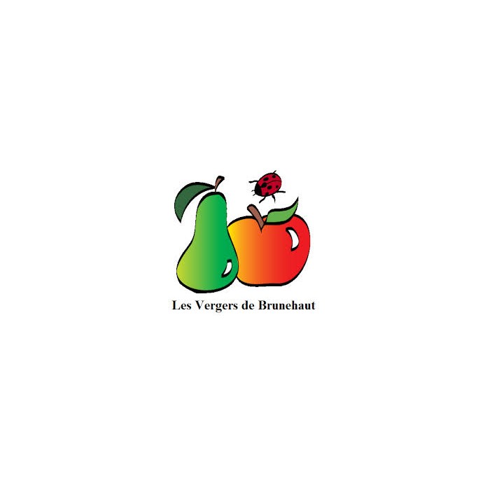 Jus Pomme - Fraise de Brunehaut 1L